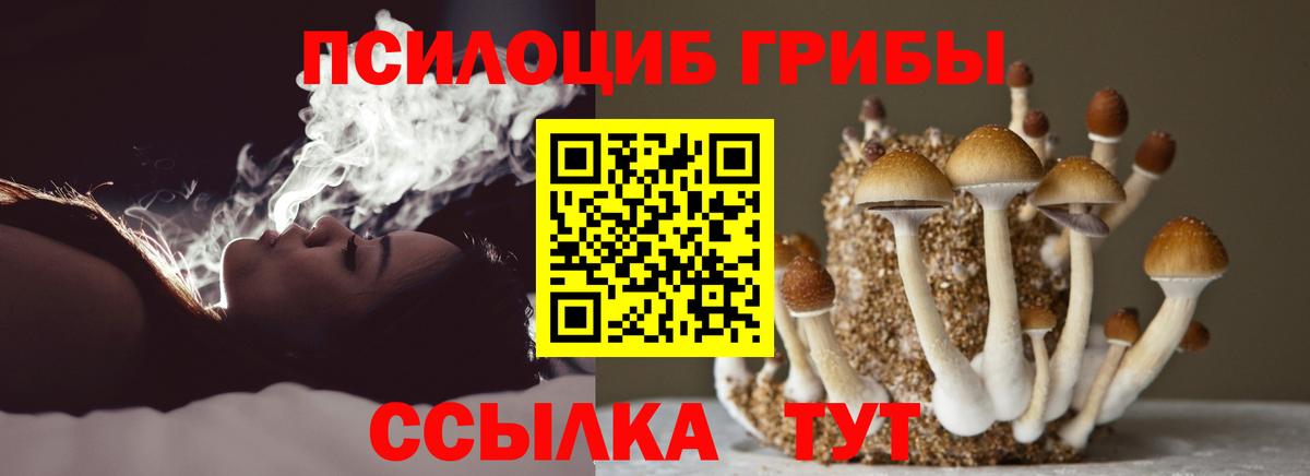 Алейск  Галлюциногенные грибы GOLDEN TEACHER  Вход с VPN  Псилоцибиновые грибы Cubensis 